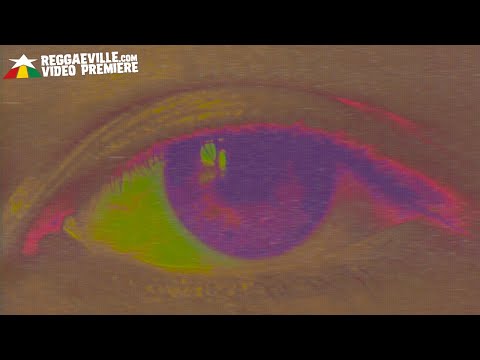 Dub All Sense feat. Suzo - Jah Spirit [Official Video 2022]