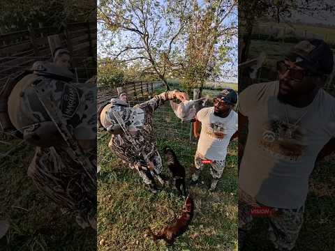 Best Dove Hunt Moment in 2 Minutes!