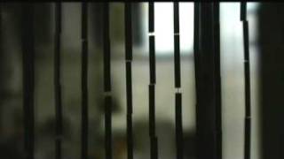 Mensjesrechten: Birgit