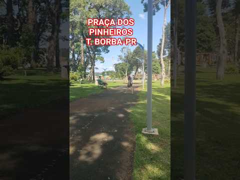 PRAÇA DOS PINHEIROS EM TELÊMACO BORBA-PR #interior #paraná #brasil