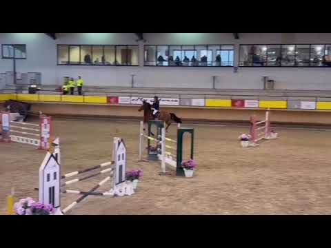 İZİ ME - KWPN 2013 - CARTHAGO x CONCORDE class 130cm 01.02.2026 WINNING ROUND 