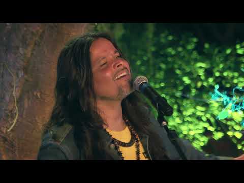 Brisa Positiva - Chimarruts live 2020