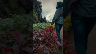 Download lagu story wa | selamat tinggal _ Five minutes mp3