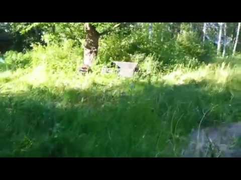 Näi sitä nurmikkoo leikataan