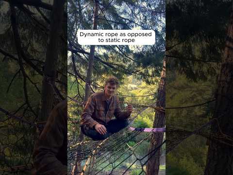 Dynamic vs Static Rope for Tree Nets