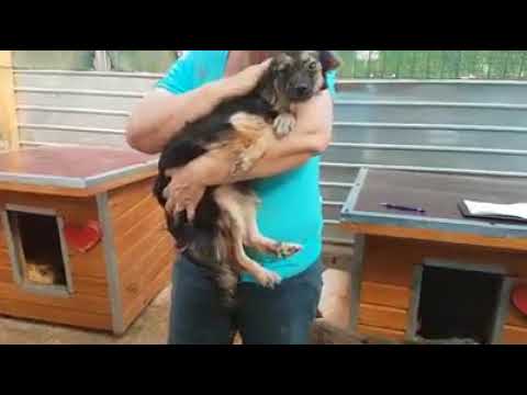 ANEESA - RBB :-( Ruhe in Frieden