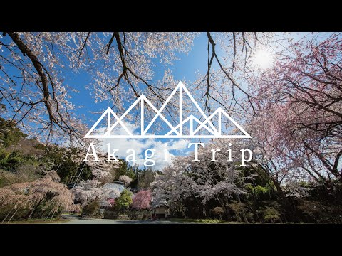 AKAGI e bike cycling　sakura 赤城山でe-Bikeサイクリング
