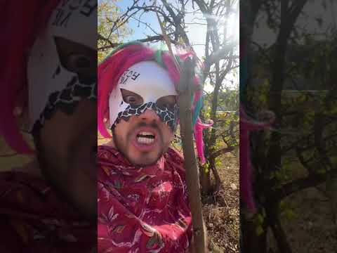 Marto G & Drugite & Mama УСПЯХМЕ #funny #fypシ #foryou #foryourpage  #raistar #trending