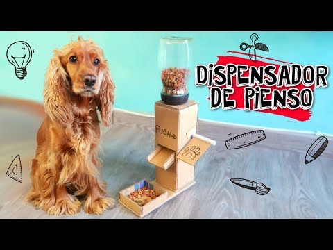 DIY Manualidades para mascotas: Máquina dispensadora de comida hecha de cartón