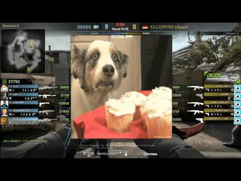 APM S2: DenDD vs KillerFish (Overpass)