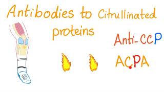 Download lagu Anti-Cyclic Citrullinated Peptide (anti-CCP) - Rheumatoid Arthritis (RA)- Rheumatology Labs mp3