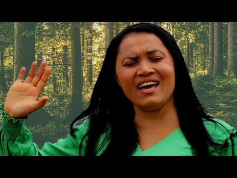 Elizama Lira - SONHAR OUTRA VEZ