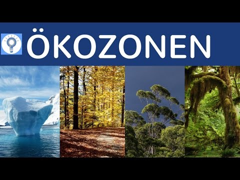 , title : 'Ökozonen - Klimazonen & Vegetationszonen einfach erklärt - Überblick Geografische Landschaftszonen'