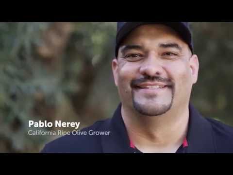 Meet California Ripe Olive Growers: The Nerey Family