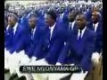 Ewe Ngonyama