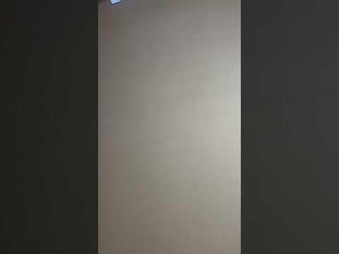 A little happy life-Isaiasjusto4316￼