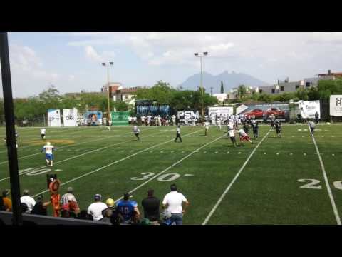 La magia de Roberto Vega