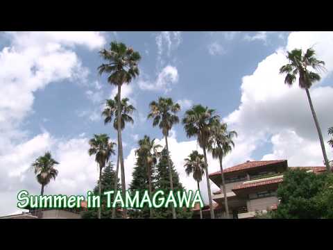 夏の玉川学園