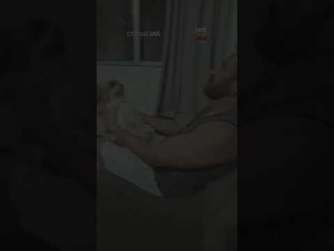 Cachorro ganha massagem e rouba a cena durante jogo da Copa