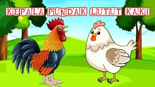 Download lagu KEPALA PUNDAK LUTUT KAKI // Lagu Anak Indonesia !! Ayam Dan Bebek mp3 Download lagu KEPALA PUNDAK LUTUT KAKI // Lagu Anak Indonesia !! Ayam Dan Bebek mp3