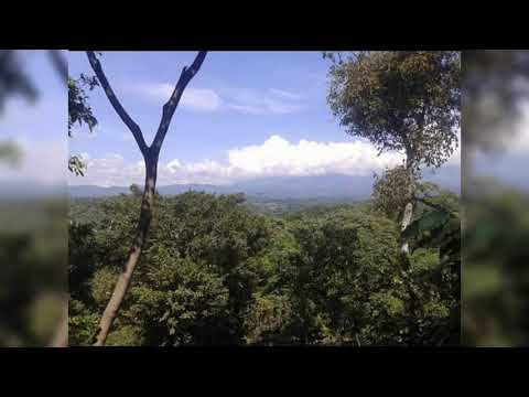 Aiwake - Tonight  (SunDown)