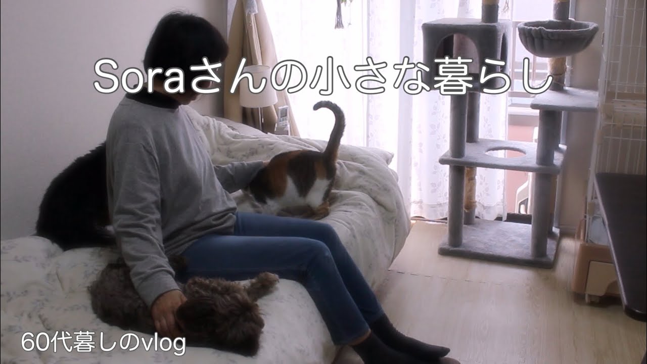 《ひとりと3匹のきままな暮らし》犬と猫が少しずつ家族になる日々/シャケときのこのクリームパスタ・肉巻き/娘の入院　　#ひとり暮らし  #犬と猫のいる暮らし 