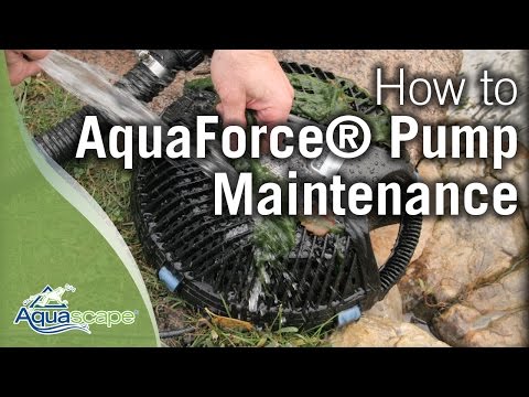 Aquascape's AquaForce® Pump Maintenance & Troubleshooting Tips