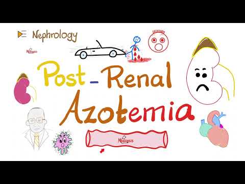 Post-renal Azotemia - Acute Renal Failure (Acute Kidney Injury) - Acute Renal Azotemia - Nephrology