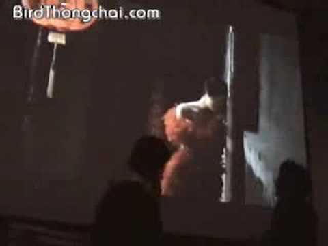 Bird: Mee Tae Kid Tueng