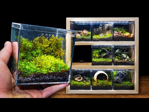 DIY Mini Modular Moss Cubes (9 Worlds Terrarium)