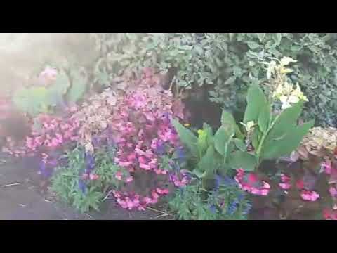 اجواء الخريف الساحرة بأمريكا 😍 فصلي المفضل ⁦❤️⁩ جمالية الطبيعة ⁦❤️⁩