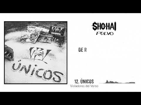 Únicos (con Violadores del Verso)