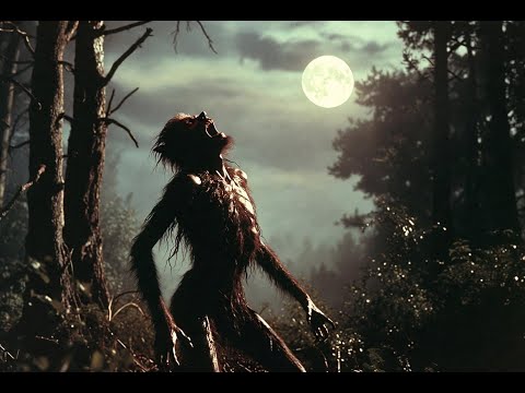 O LOBISOMEM DE IBOTIRAMA   BAHIA