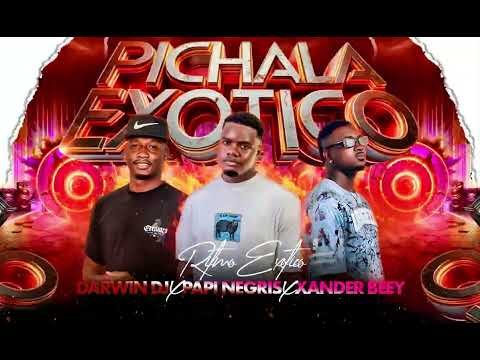 PICHALA - PAPI NEGRIS - DARWIN DJ - DJ XANDER