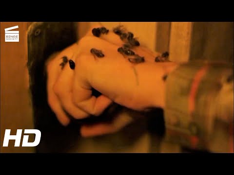 The Crush: Wasp invasion