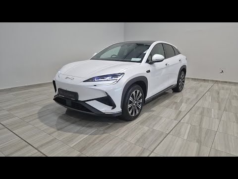 BYD SEALION 7 Design AWD 4 Year service plan , Pan - Image 2