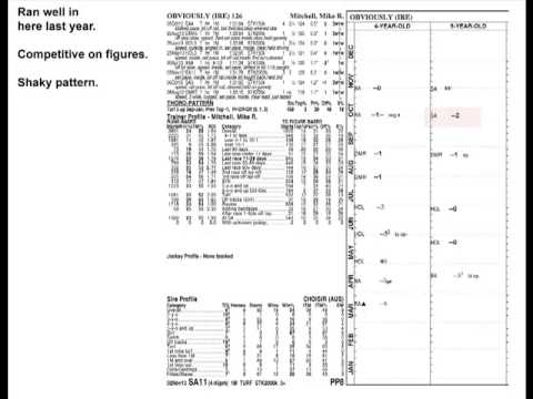 2013 Breeders' Cup Mile