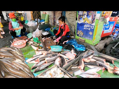 Mixed Cambodian Food Markets Scenes in Phnom Penh City - People Activities & Food Scenes