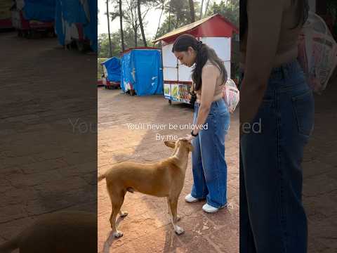 Certificated animal petter 🥰 #animals #youtube #youtubeshorts #shorts #animallovers