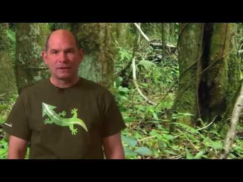 HHMI Educator Tips -- Lizards in an Evolutionary Tree