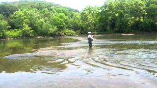 preview picture of video 'Flyfishing the Clinch River, May 2012'