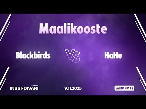 Maalikooste: Blackbirds - HaHe (Inssi-Divari N)