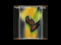 Peter Hammill - A Walk In The Dark