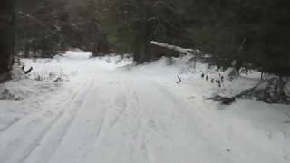 preview picture of video 'Cougar Pass XC Trail in the Adirondack Mountains'