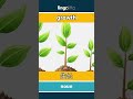 growth - 生长 video thumbnail