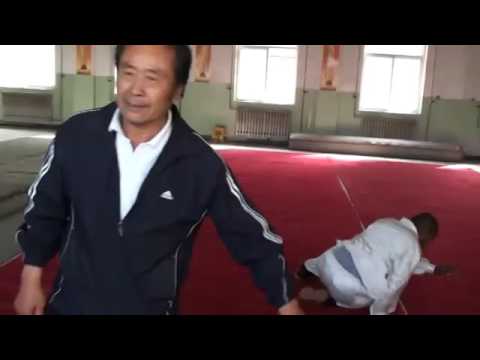 Yang Fan sheng 杨凡生 Che shi Xing Yi quan 2