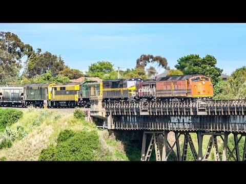 6 VINTAGE LOCOMOTIVES - CLF4, 4814, C501, 4908, GM10, 44223 leading the SSR Grain.