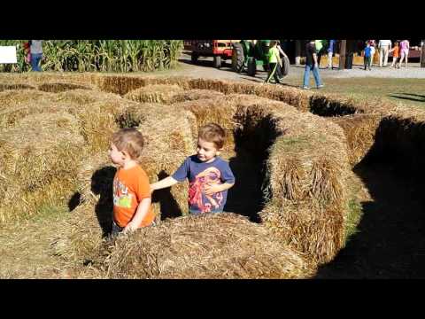Kids Fun Fall Festival - Fall Corn Hay Maze