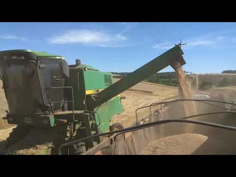 Luan Pereira ft. Léo e Raphael - Peão Não Sofre.