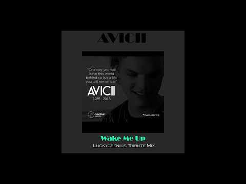 Avicii feat. Aloe Blacc - Wake Me Up (Luckygeenius Tribute Mix)